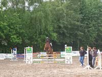 Burgdorf023