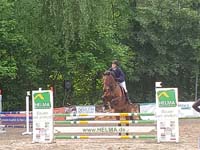 Burgdorf028