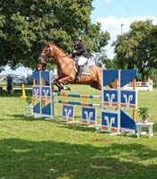 Landesbergen_120